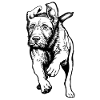 Jagdhunde-Aktion