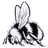 Hummel
