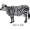 Drôle de zèbre