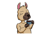 Lama drinks coffee - coffee drinker