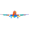 Cadeau avion avion