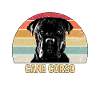 Cane Corso