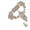 Elefant