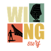 Wing Surf Wingfoil Wingsurf Rétro
