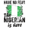 Proud Nigerian Nigeria Nigerian Flag