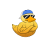 Don't Duck With Me