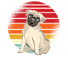 Pug Retro
