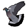 Ringed pigeon motif pigeon