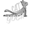 Niedliche Yoga Katze