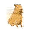 Capybara Lover