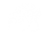a kiwi bird