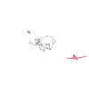 Sloth | Born tired (White)