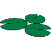 3 water lily leaves
