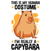 Capybara kostume Sydamerikanske capybara