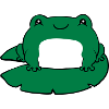 Frog on water lily