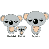 Koala-Familie Mimimi