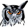 Owl Owl Owl Bird