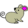 Maus