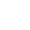 Brauer