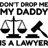 Don’t Drop Me My Daddy Is A Lawyer
