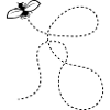 Dashed Line Fly