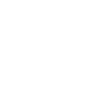 Brauer