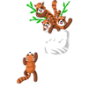 red panda pocket