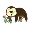 Sleepy sloth