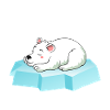 Sleepy polar bear