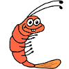 Shrimp