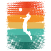 Volley-ball