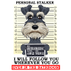 Personal Stalker Miniature Schnauzer