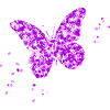 Schmetterling