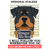 Rottweiler Personal Stalker Ill Suivez-vous
