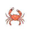 Cancer