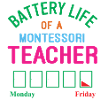 Montessori Teacher