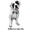 Bulldog