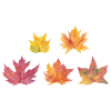 Autumn leaves
