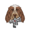 Spinone Peluche