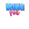 Wing Foil Wingsurf