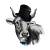 Zylinderkuh