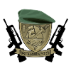 Commandos marine