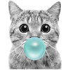 chat cool