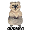 Quokka Bliss: Whimsical Wonders