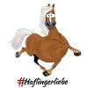 Haflinger+Blesse
