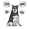Alaskan Malamute Husky Dog