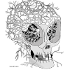 Skull white