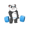 der Kampf ist echter Panda