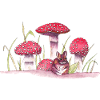 Mouse and fungi