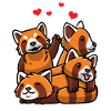 Kawaii Red Panda